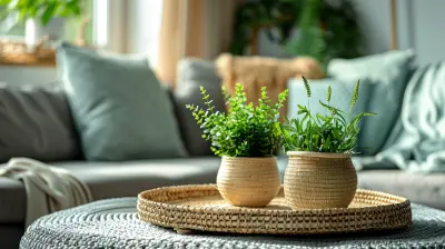 Detox Your Home: Reducing Toxins in Your Living Space