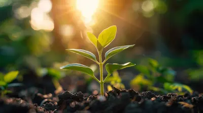 Exploring the Connection Between Sunlight and Energy