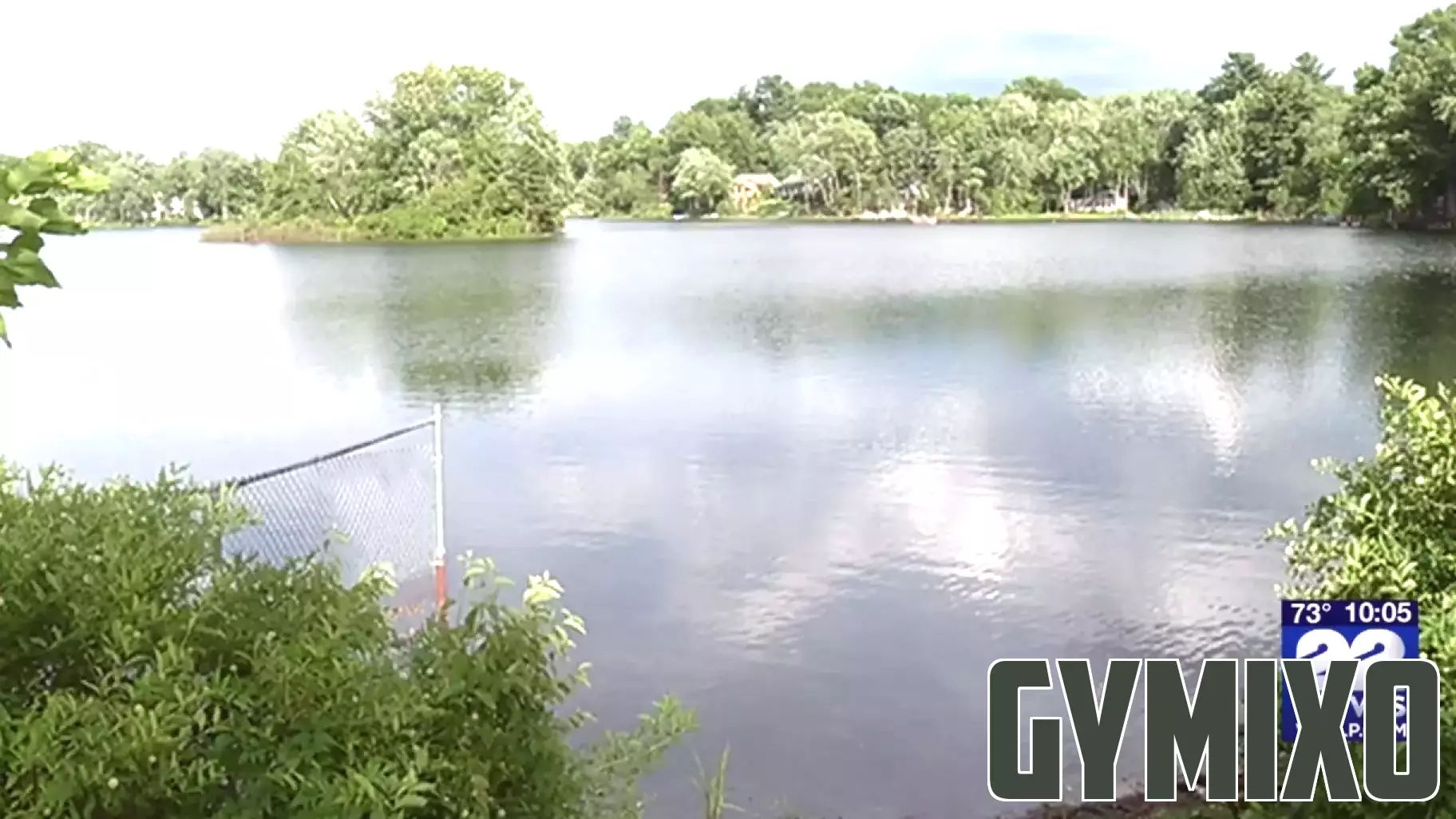 Health Advisory issued for Haviland Pond in Ludlow due to harmful algae bloom