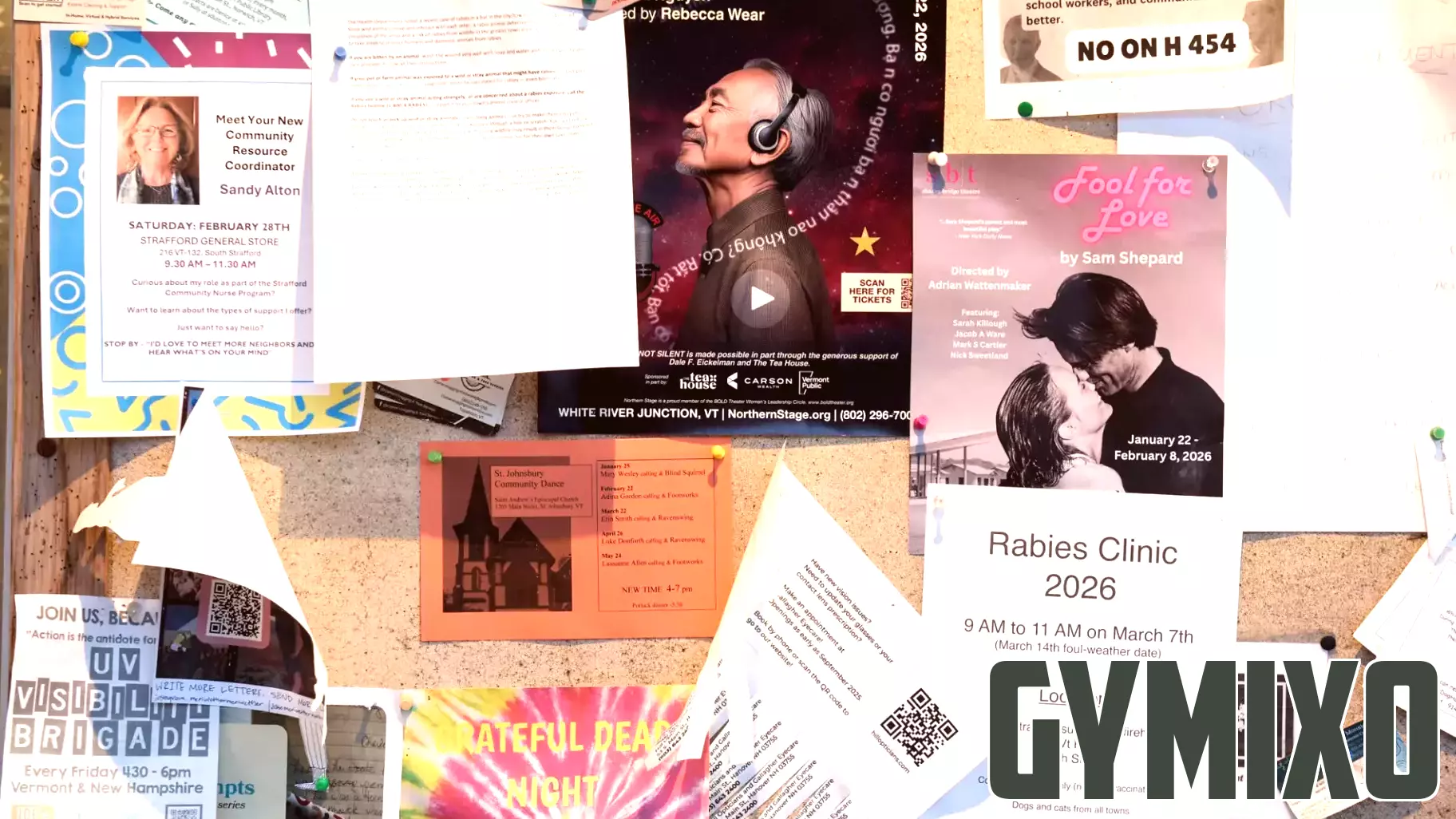 Health department urges caution after rabid bat bites Strafford resident