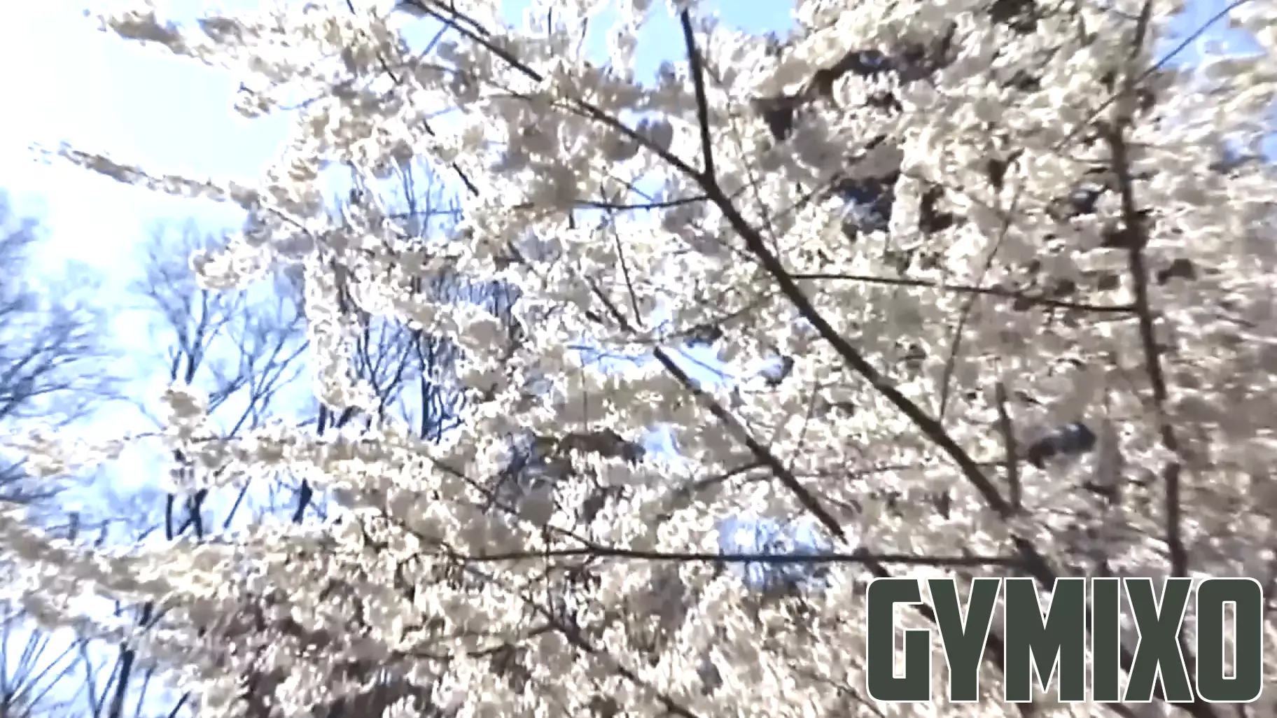 Health experts warn prolonged allergy season as 50 million Americans suffer