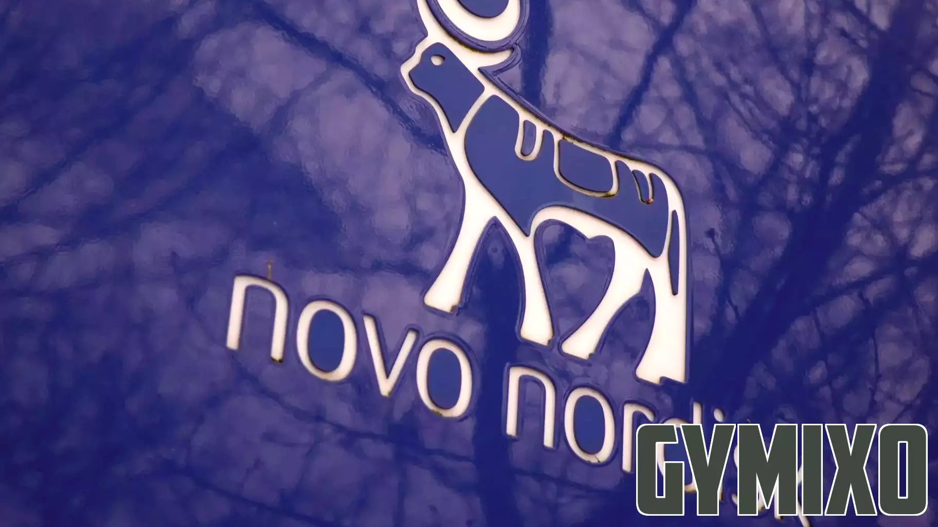 Healthy Returns: What’s next for Novo Nordisk’s next-generation obesity drug CagriSema after trial miss