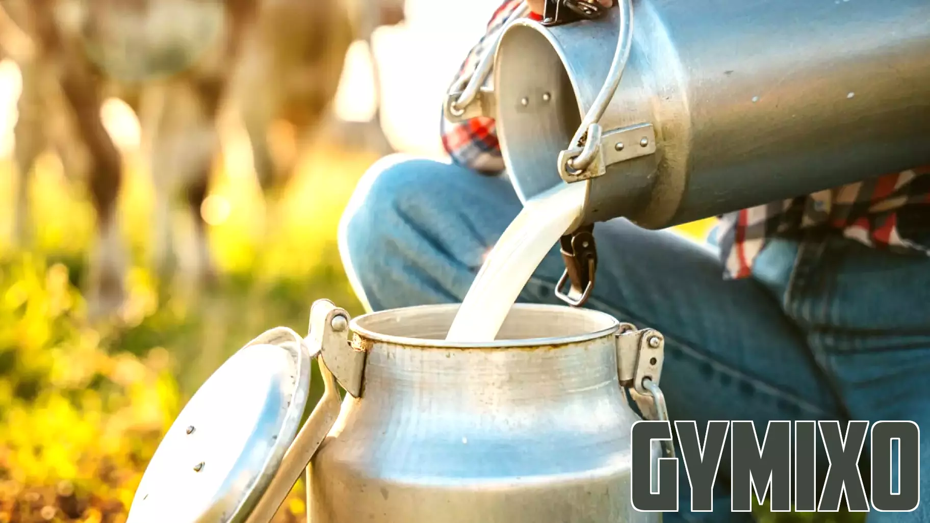 New Mexico newborn dies from Listeria infection after mother drank raw milk while pregnant: state officials