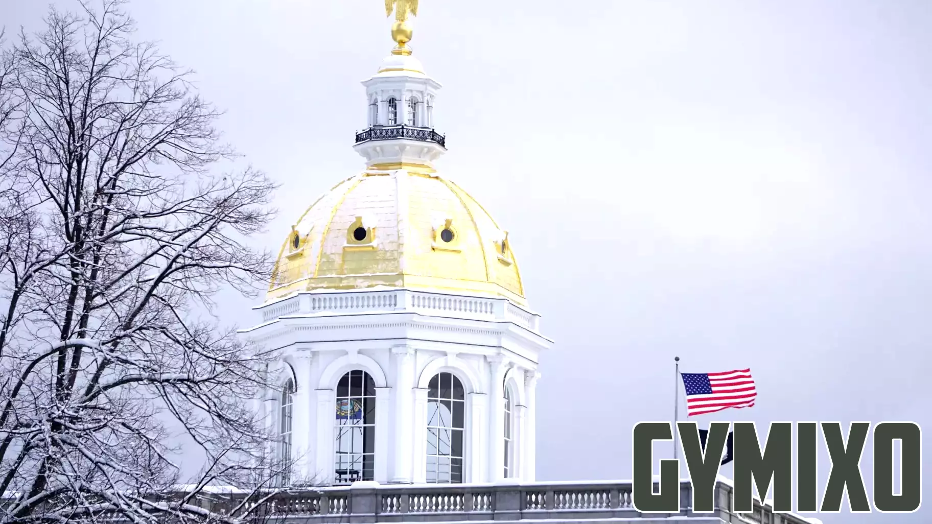 NH House stalls bill requiring private insurers to cover children’s mental health services