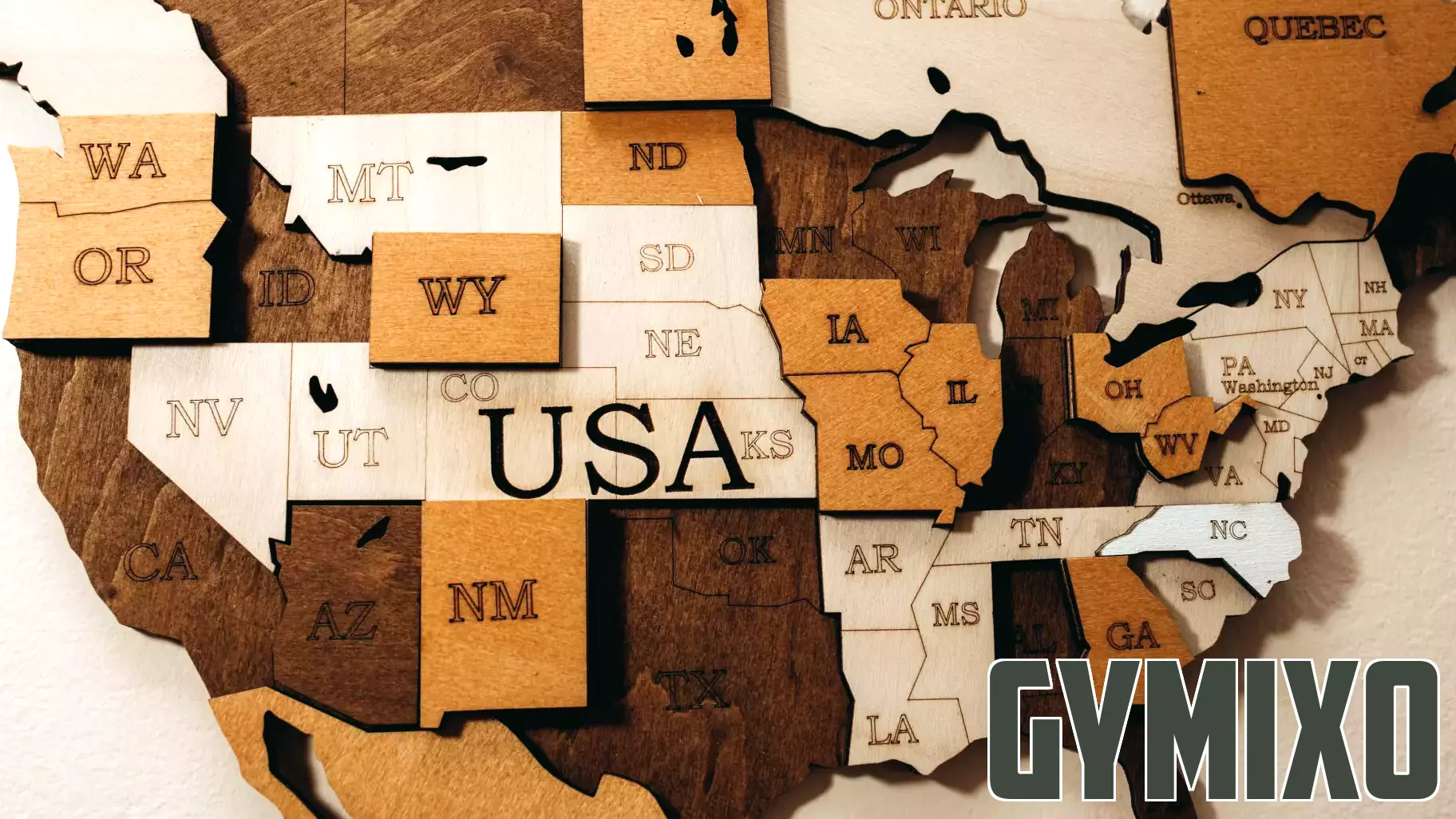 Rising Avoidable Mortality Rates Illuminate Systemic Health Issues in the US