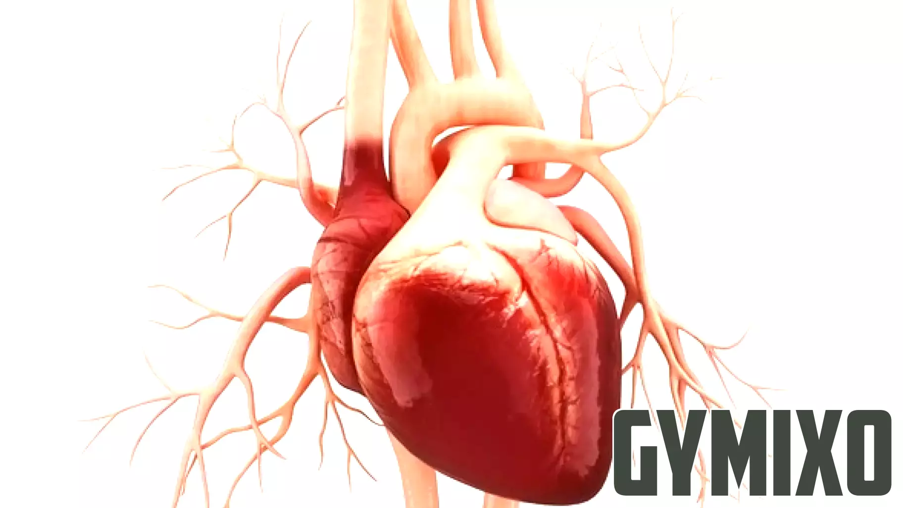 The Impact of Food Quality on Heart Disease Risk
