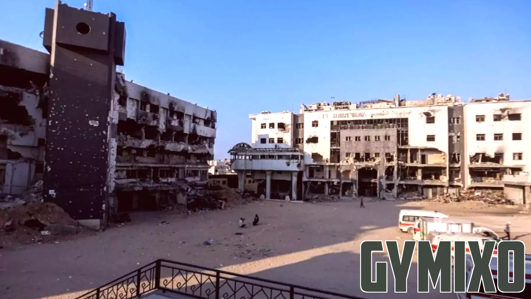 Urgent Appeal to Preserve Gaza's Healthcare System