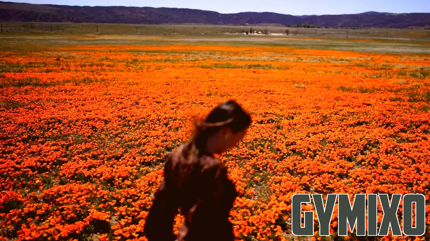 Welcome to allergy season. Here's how to protect yourself