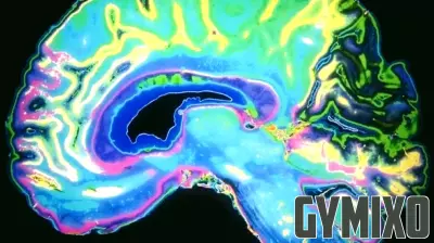 Brain-Gut Health Initiative supports AI-assisted diagnosis of psychiatric disorders