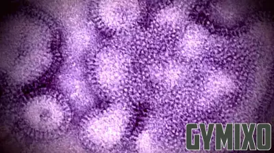 Fifth Child in Massachusetts Succumbs to Flu; Health Officials Urge Vigilance