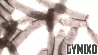 Legionella detected in North Oakland Health Center and the Resource and Crisis Center in Oakland County