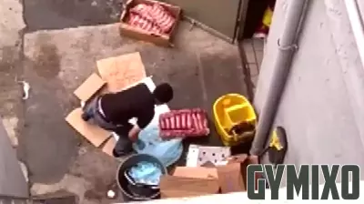 Milpitas Eatery Closes Following Health Violations Highlighted in Viral Video