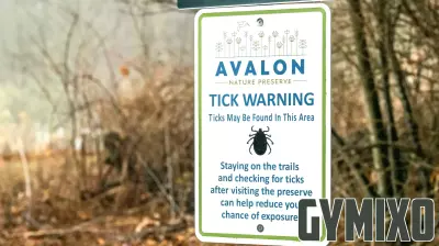 New York Is a Hot Spot for Alpha-Gal. Why Doesn’t the State Track Cases?