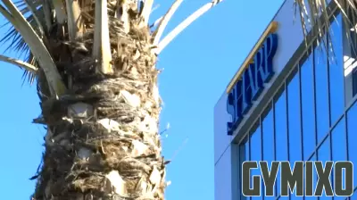 Nurses Seek Improved Conditions Amid Ongoing Negotiations