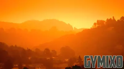 Safeguarding Your Health from Wildfire Smoke
