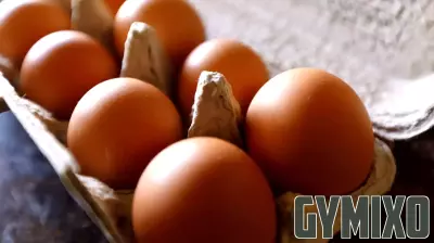 Salmonella Outbreak Associated with Eggs Affects Many Individuals