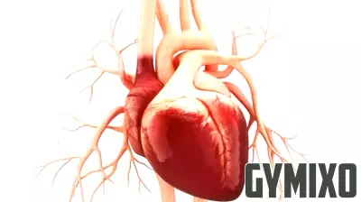 The Impact of Food Quality on Heart Disease Risk