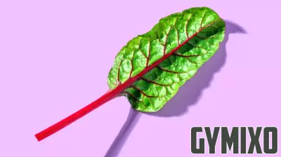 The Nutritional Powerhouse of Rhubarb: Benefits for Bone and Gut Health