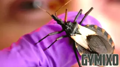 Urgent Call for Enhanced Classification of Chagas Disease by Researchers