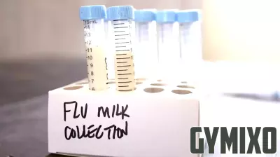 Urgent Call for Enhanced Measures Against Bird Flu Threat