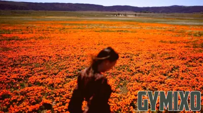 Welcome to allergy season. Here's how to protect yourself