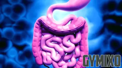 Yogurt and Hot Spring Baths: A Recipe for Better Gut Health